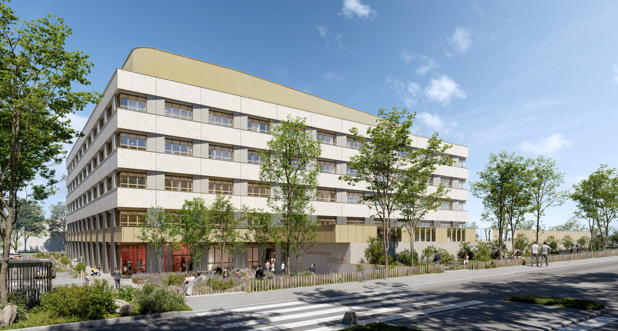CGA IPBA PARVIS 03 sanspin light